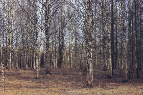 Naklejka park spokojny pejzaż słońce