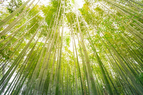 Obraz na płótnie piękny pejzaż natura japoński