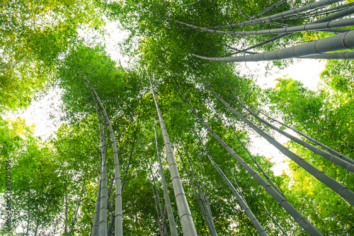 Naklejka chiny natura zen piękny azja