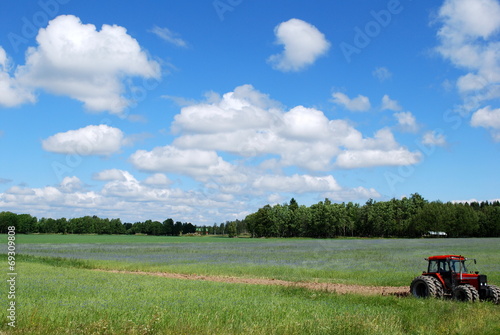 Obraz na płótnie skandynawia pastwisko wieś rolnictwo spokojny