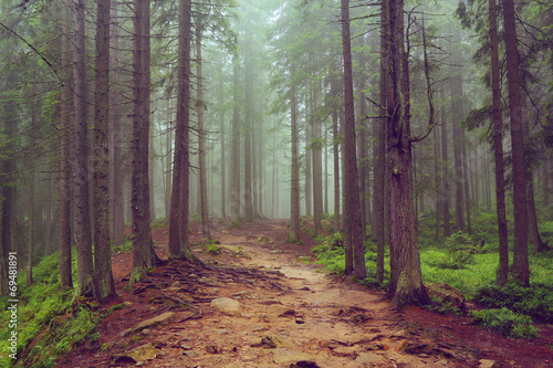 Fototapeta pejzaż natura wiejski droga