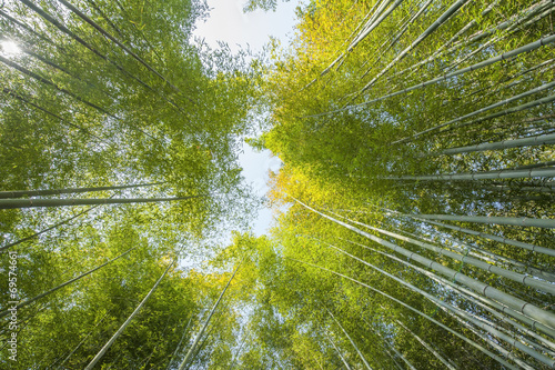 Plakat zen wschód natura azja