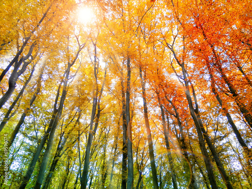 Fototapeta natura krajobraz słońce