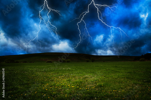 Plakat noc wiejski roślina natura