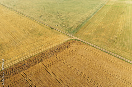 Fotoroleta lato pszenica rolnictwo widok pejzaż