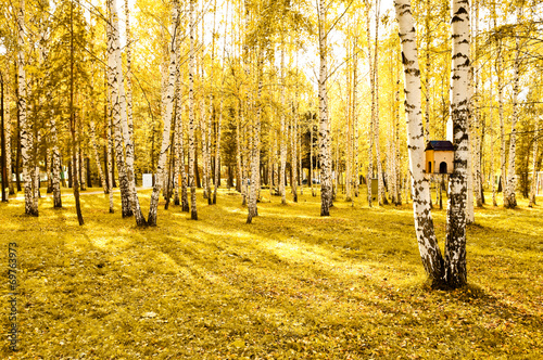 Fototapeta pejzaż świeży natura park