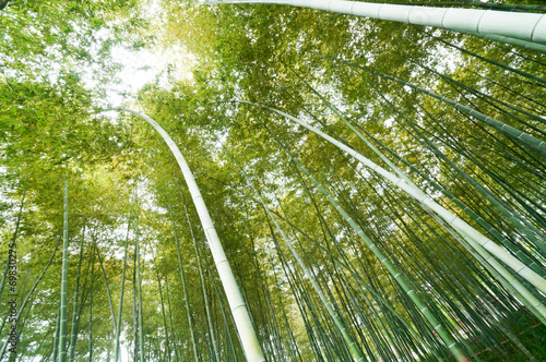 Naklejka bambus natura spokojny zen słońce