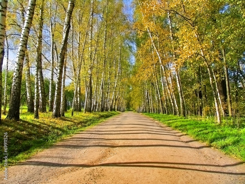 Fototapeta gospodarstwo roślinność natura polana