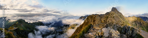 Naklejka tatry sosna piękny