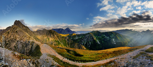 Fotoroleta sosna wzgórze widok