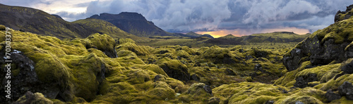 Plakat roślina natura niebo narodowy islandia