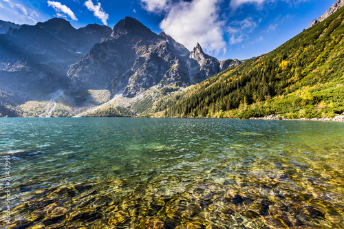 Obraz na płótnie brzeg góra trawa sosna zakopane