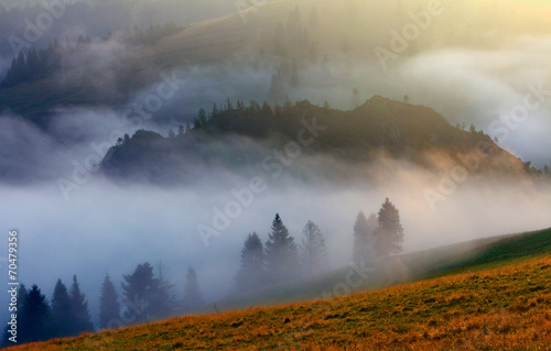 Fotoroleta trawa lato góra dolina natura