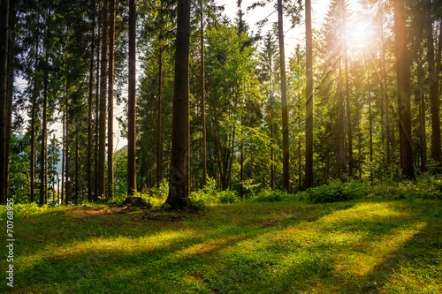 Plakat pejzaż łąka natura jesień trawa