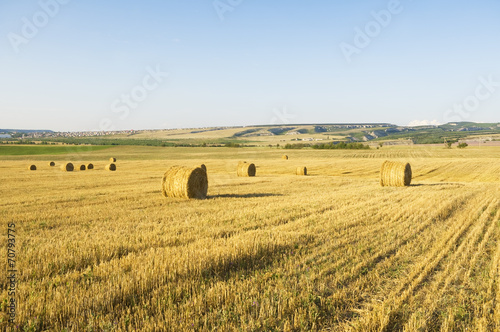 Fototapeta siano pejzaż kanada rolnictwo