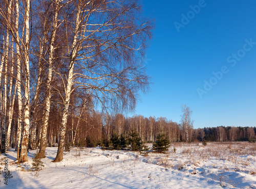 Fototapeta śnieg wiejski pejzaż spokojny