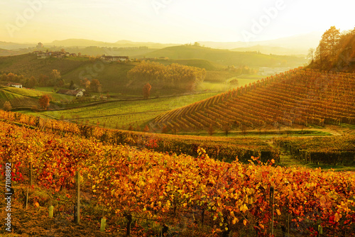 Obraz na płótnie krajobraz jesień wino śruba
