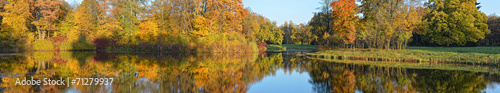 Fotoroleta natura wyspa pejzaż panorama drzewa