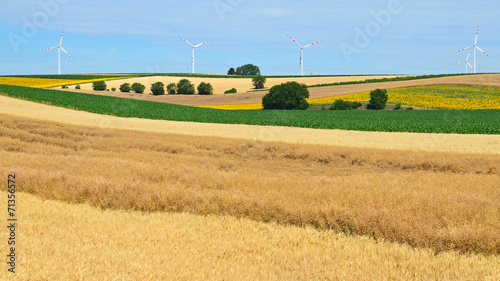 Obraz na płótnie drzewa rolnictwo żniwa wiatrak
