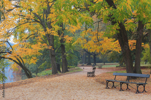 Naklejka ogród jesień natura park pejzaż