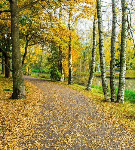 Naklejka ścieżka jesień park