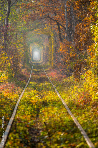 Naklejka jesień tunel transport