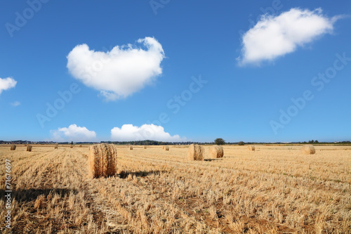 Fotoroleta siano niebo natura