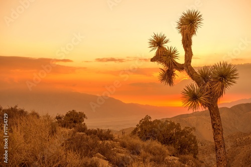 Naklejka kalifornia natura zmierzch pustynia krajobraz