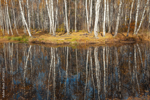 Naklejka spokojny trawa park natura