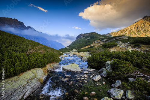 Plakat dolina krajobraz tatry
