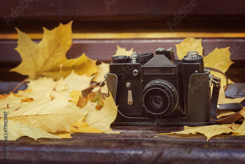 Fototapeta retro stary jesień