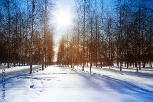 Fototapeta pejzaż wiejski rosja park widok