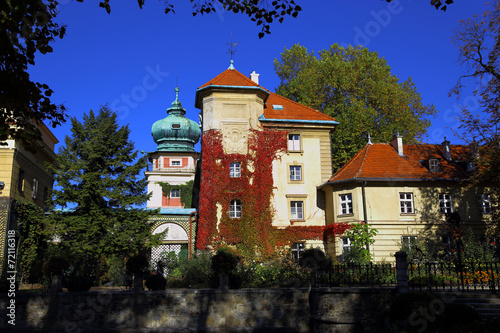 Plakat stary wieża architektura ogród zamek