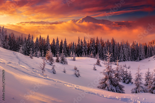 Fototapeta natura lód drzewa wzgórze