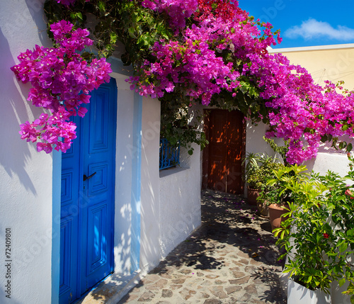 Plakat ogród wioska francja santorini kwiat