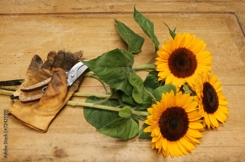 Naklejka kwiat słonecznik ciąć drewniany płatki
