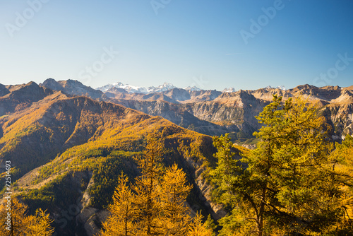 Naklejka natura jesień panoramiczny pejzaż las