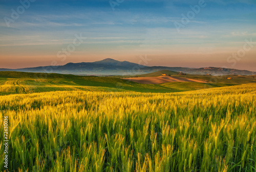 Naklejka wiejski wzgórze włoski natura