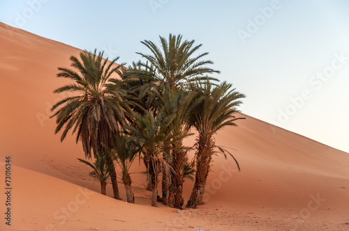 Fotoroleta außenaufnahme piasek sahara