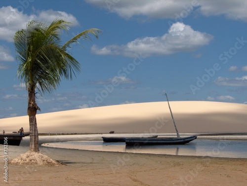 Fotoroleta krajobraz plaża palma wydma