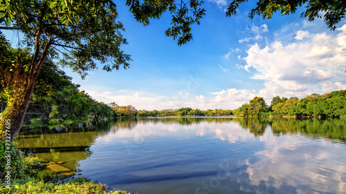 Fototapeta piękny lato park woda