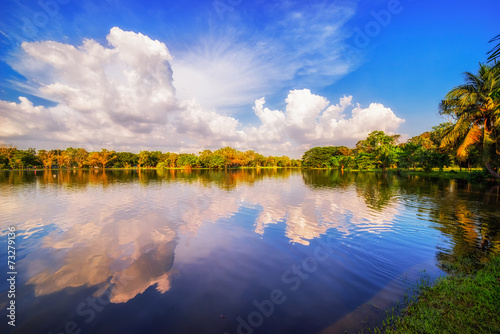 Fotoroleta natura piękny woda park