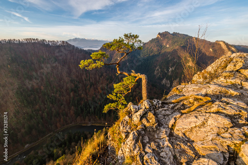 Obraz na płótnie natura tatry jesień widok las