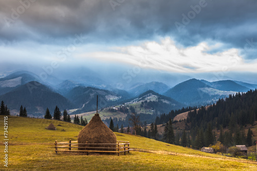 Plakat sztorm łąka widok wiejski natura