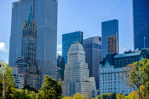 Fototapeta metropolia drzewa central park