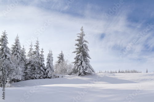 Fototapeta niebo las natura góra słońce