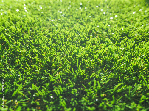 Naklejka łąka natura trawa
