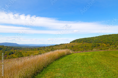 Naklejka pole jesień panoramiczny natura drzewa