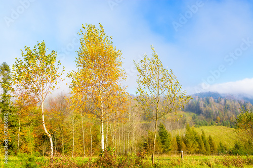 Naklejka natura wiejski widok góra park