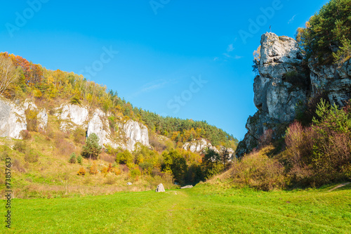 Naklejka natura las park dolina widok